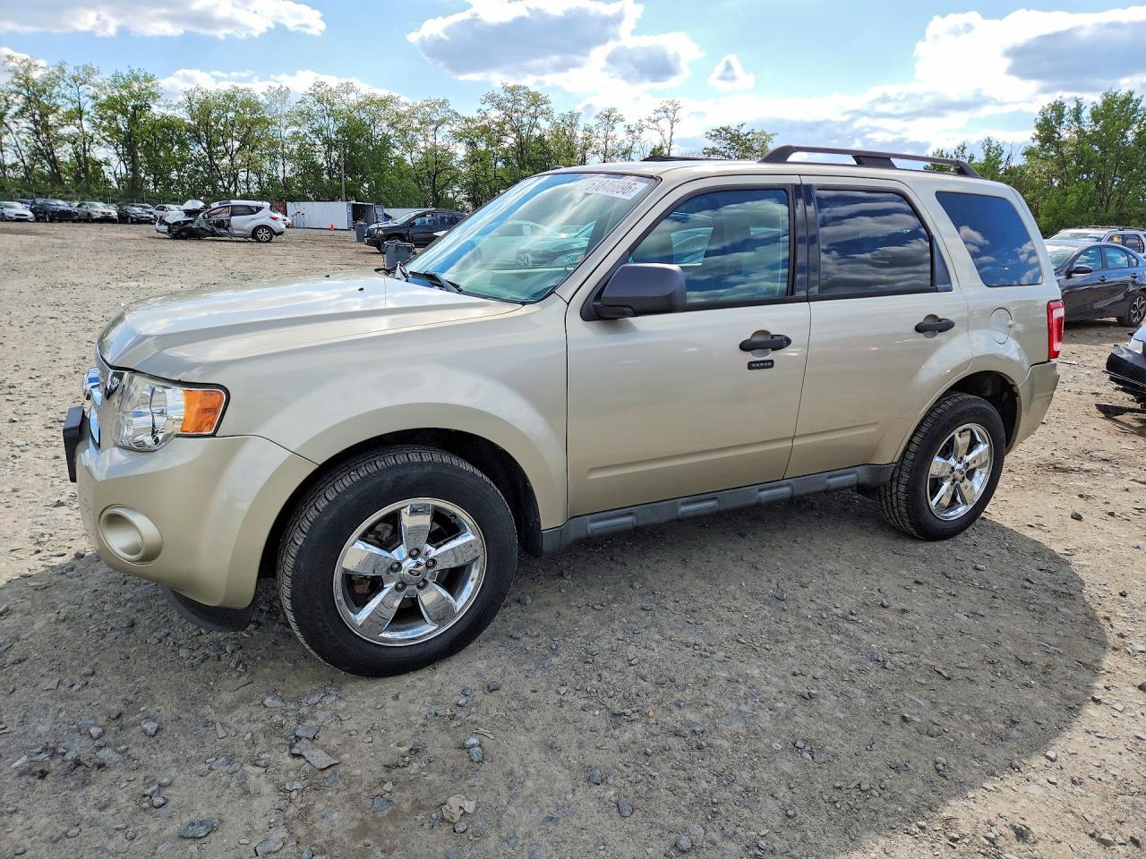 2010 Ford Escape Xlt