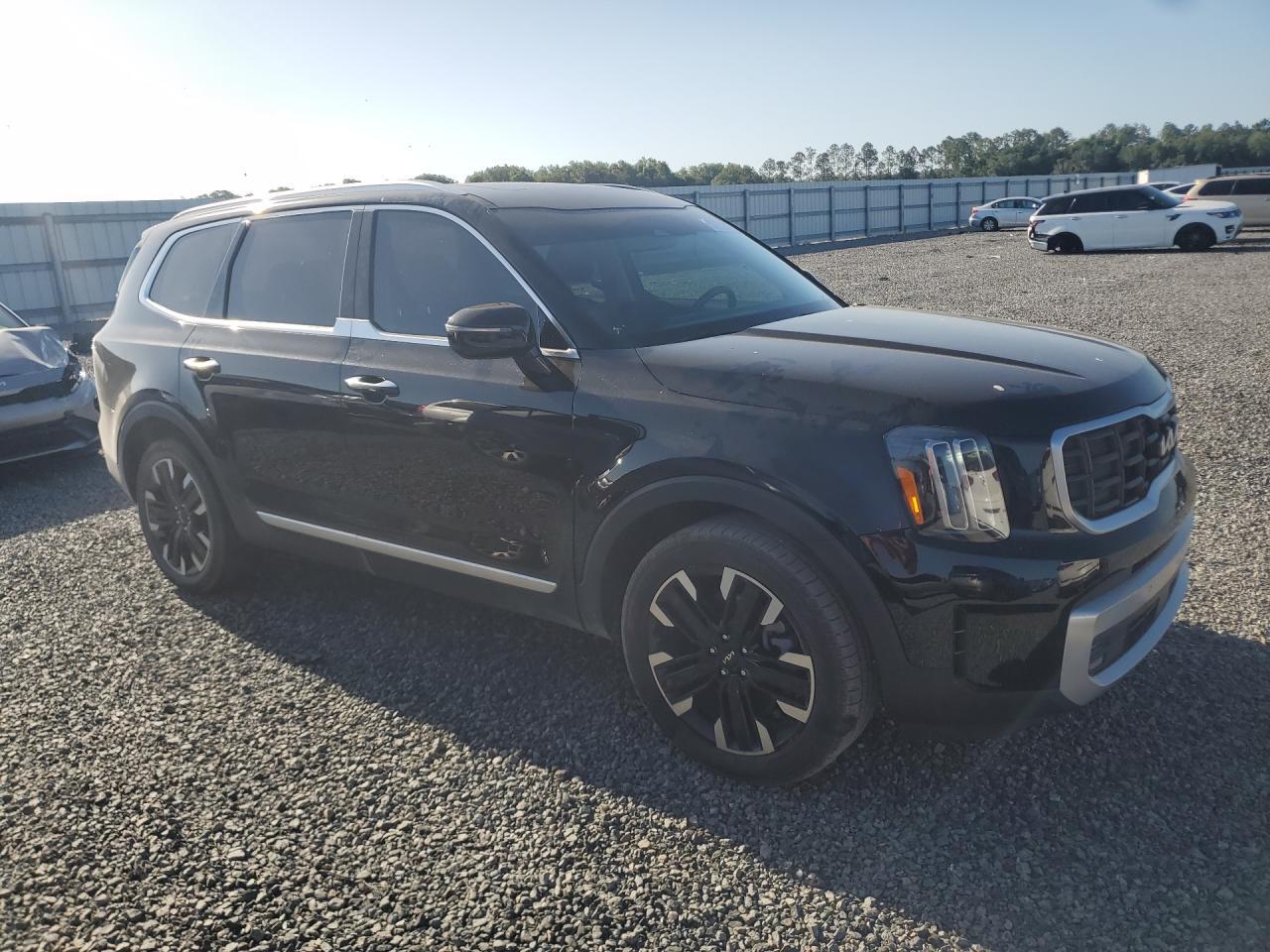 2024 Kia Telluride Sx - Фото 4