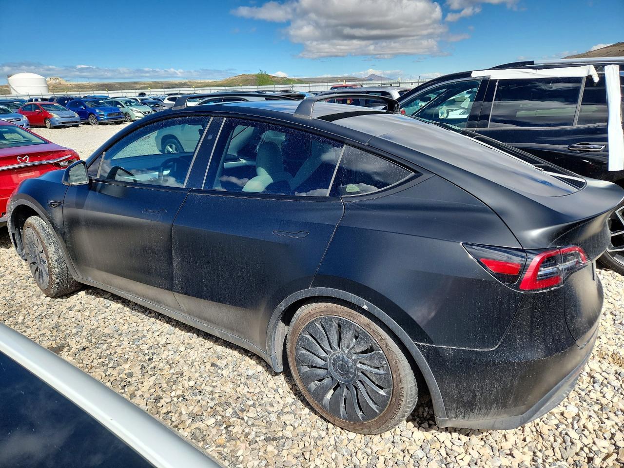 2023 Tesla Model Y - Фото 2