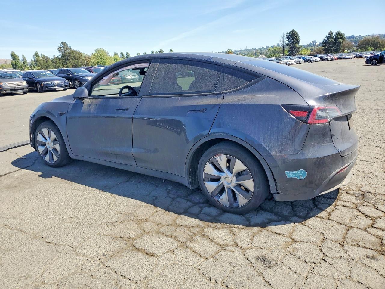 2024 Tesla Model Y - Фото 2