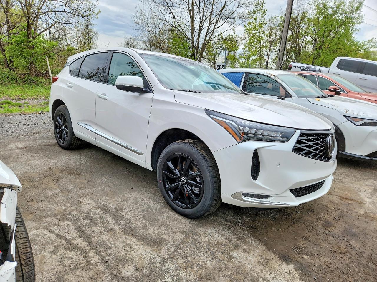 2025 Acura Rdx Advance - Image 4