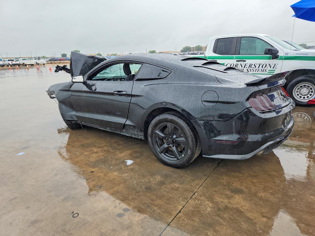 2019 Ford Mustang - Фото 2