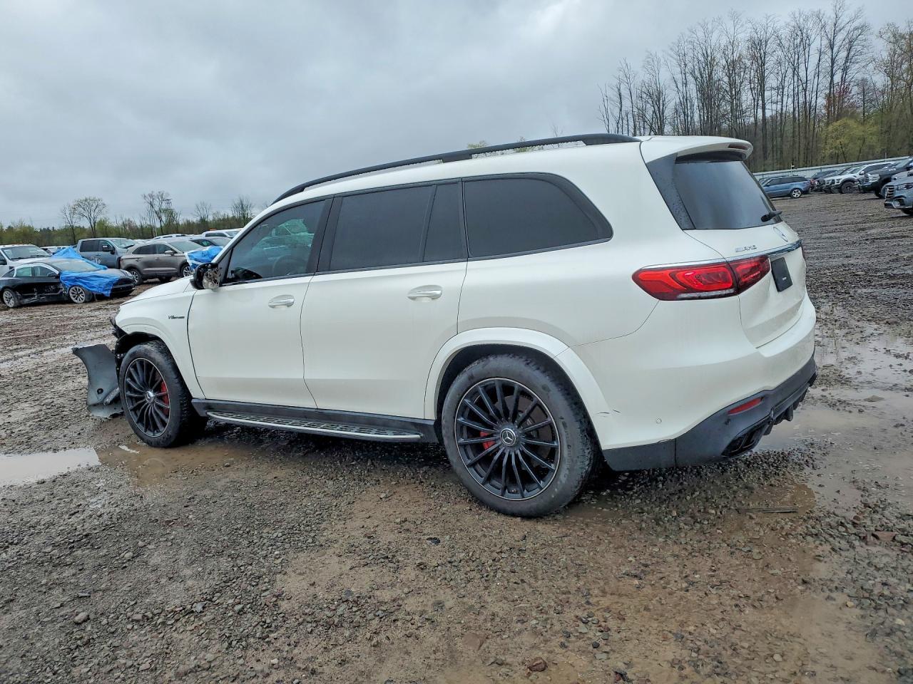 2021 Mercedes-Benz Gls 63 Amg 4Matic - Фото 2