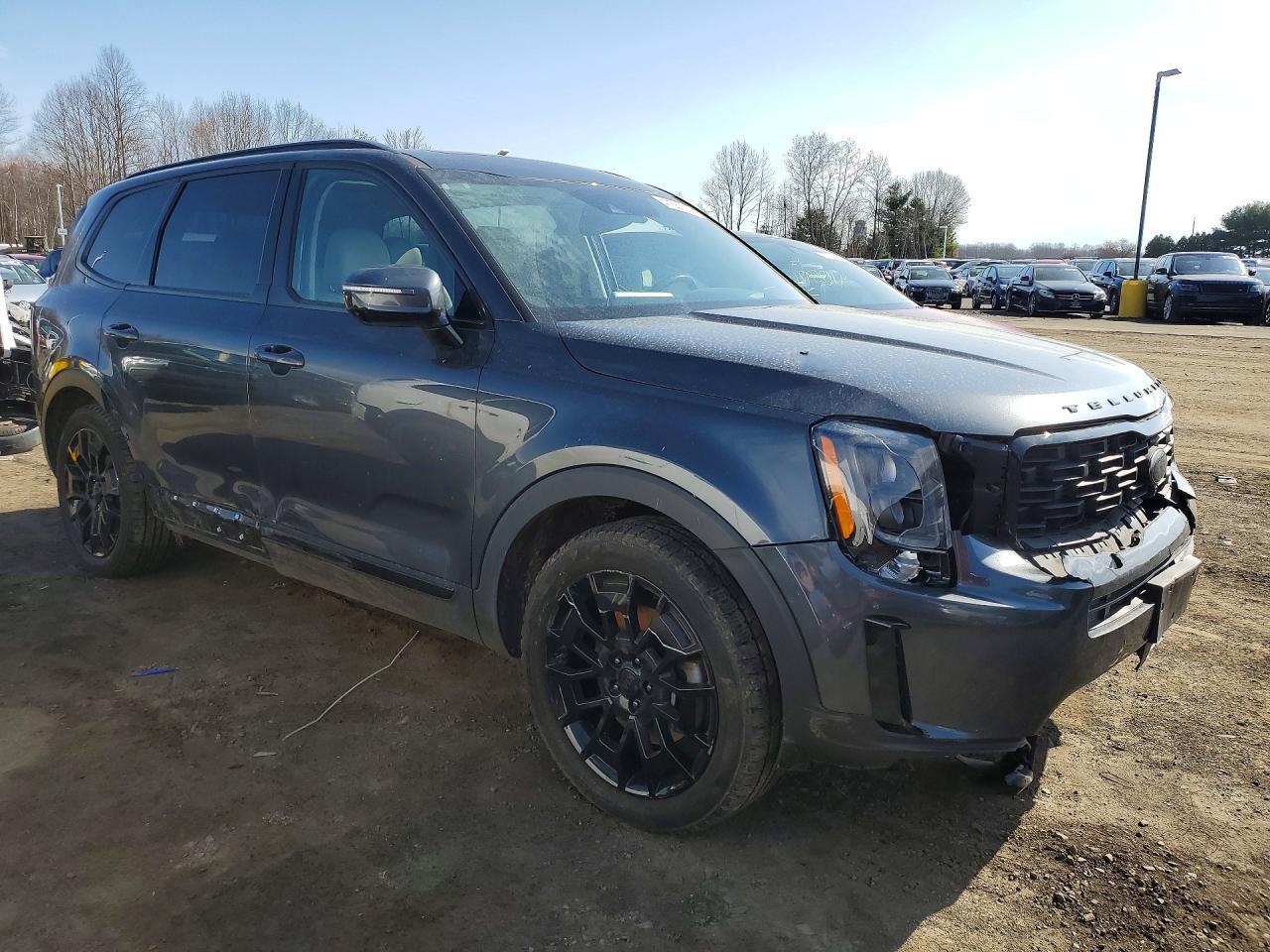 2021 Kia Telluride Sx - Фото 4