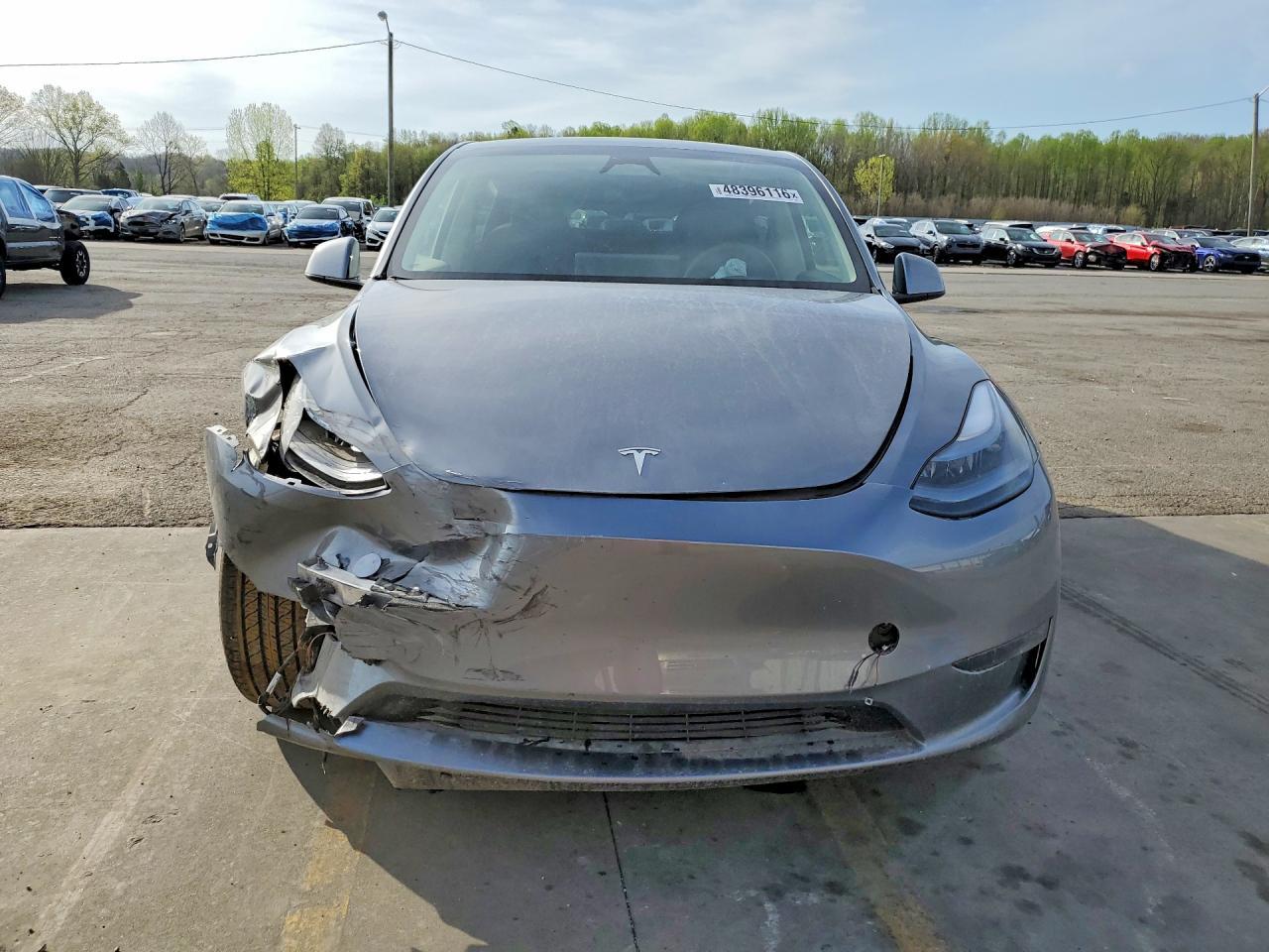 2024 Tesla Model Y - Фото 5