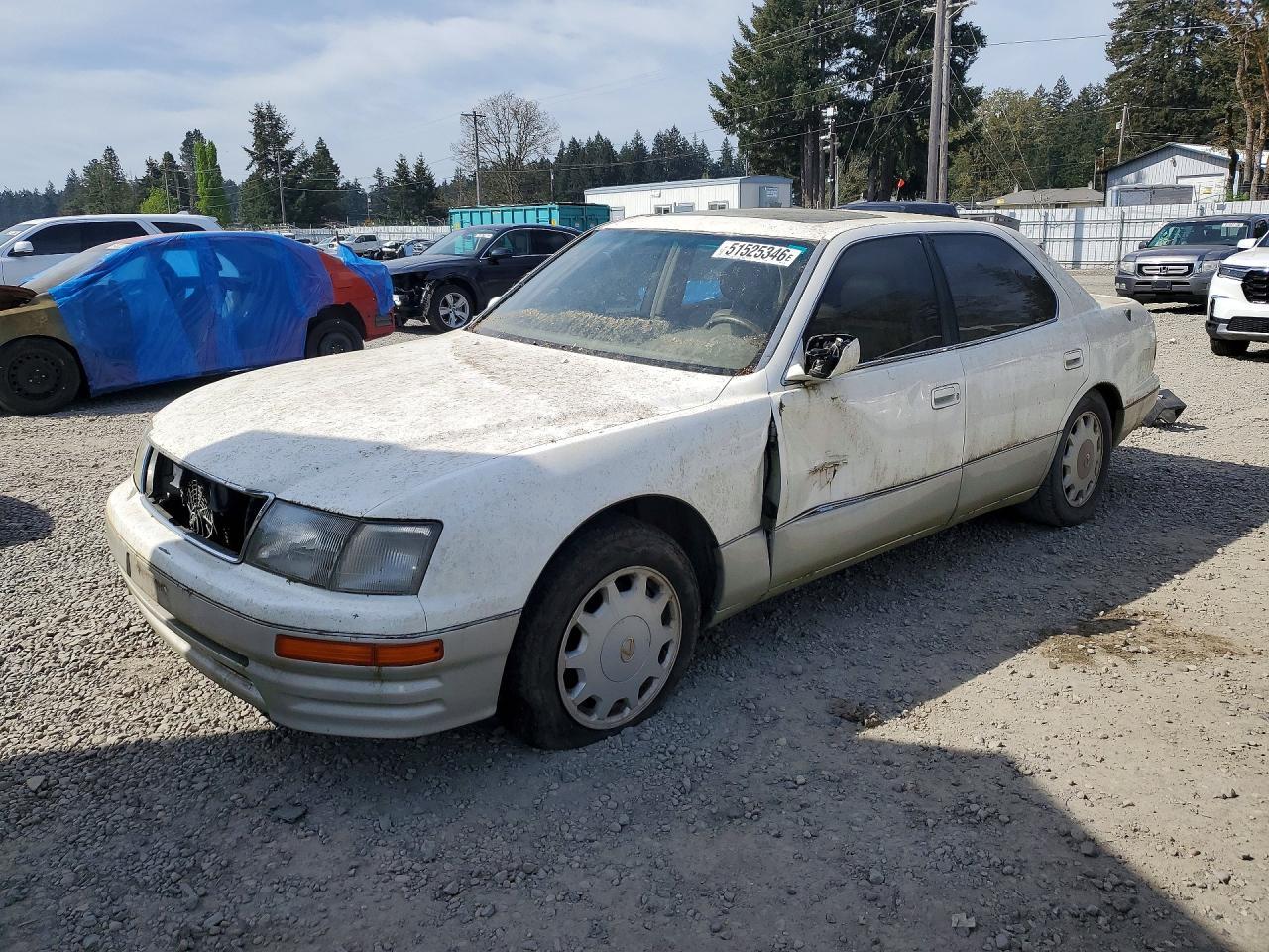 lot
