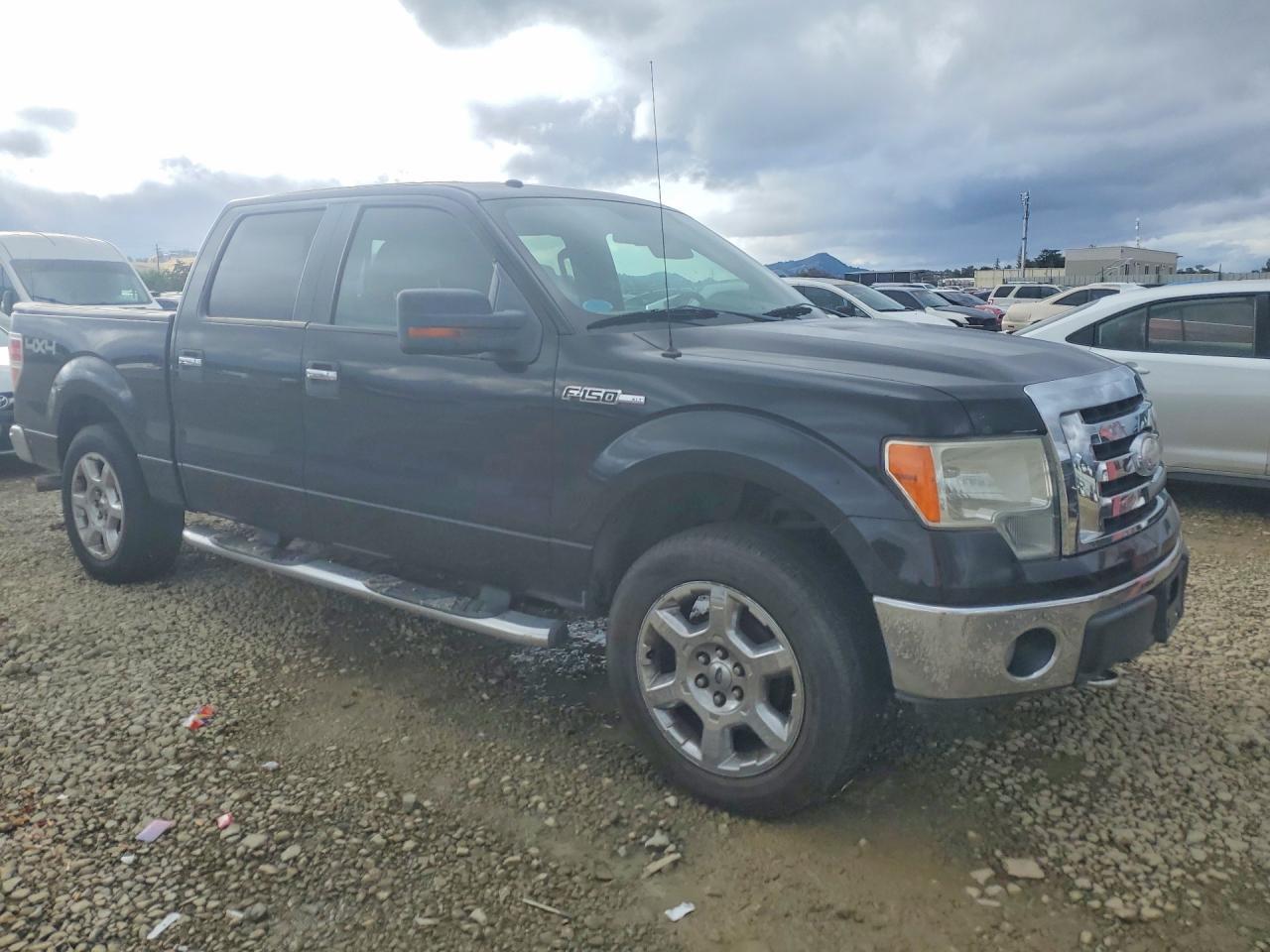 2009 Ford F150 Supercrew - Фото 4