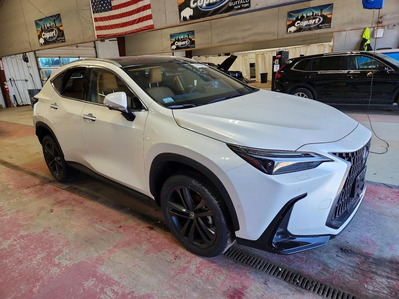 2025 Lexus Nx 450H Luxury - Image 4