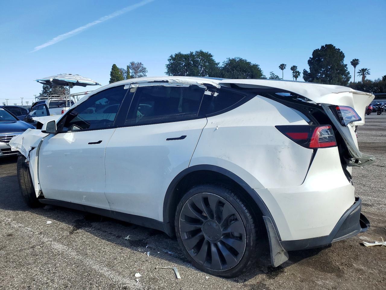 2023 Tesla Model Y - Фото 2
