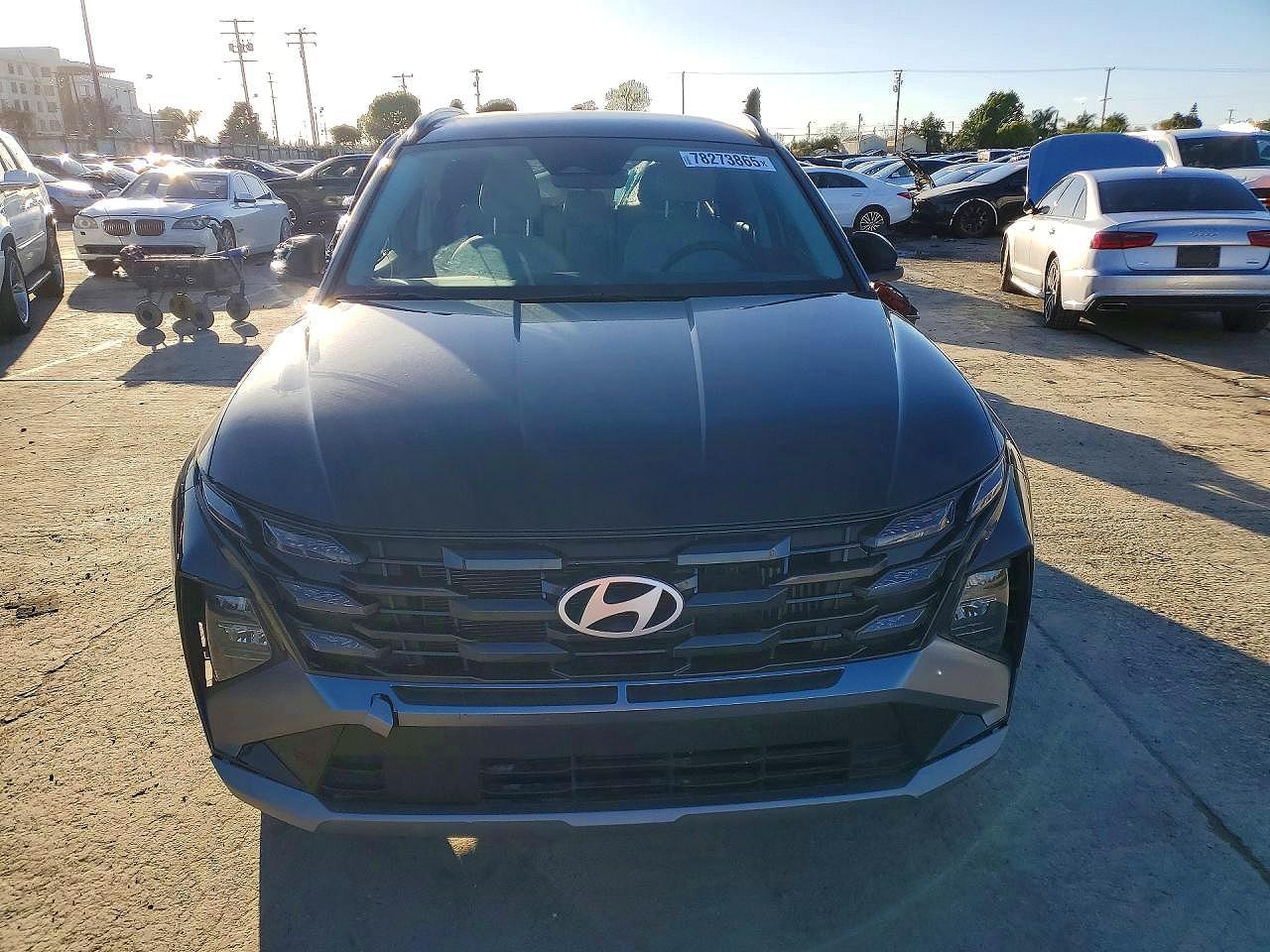 2025 Hyundai Tucson Blue - Фото 5