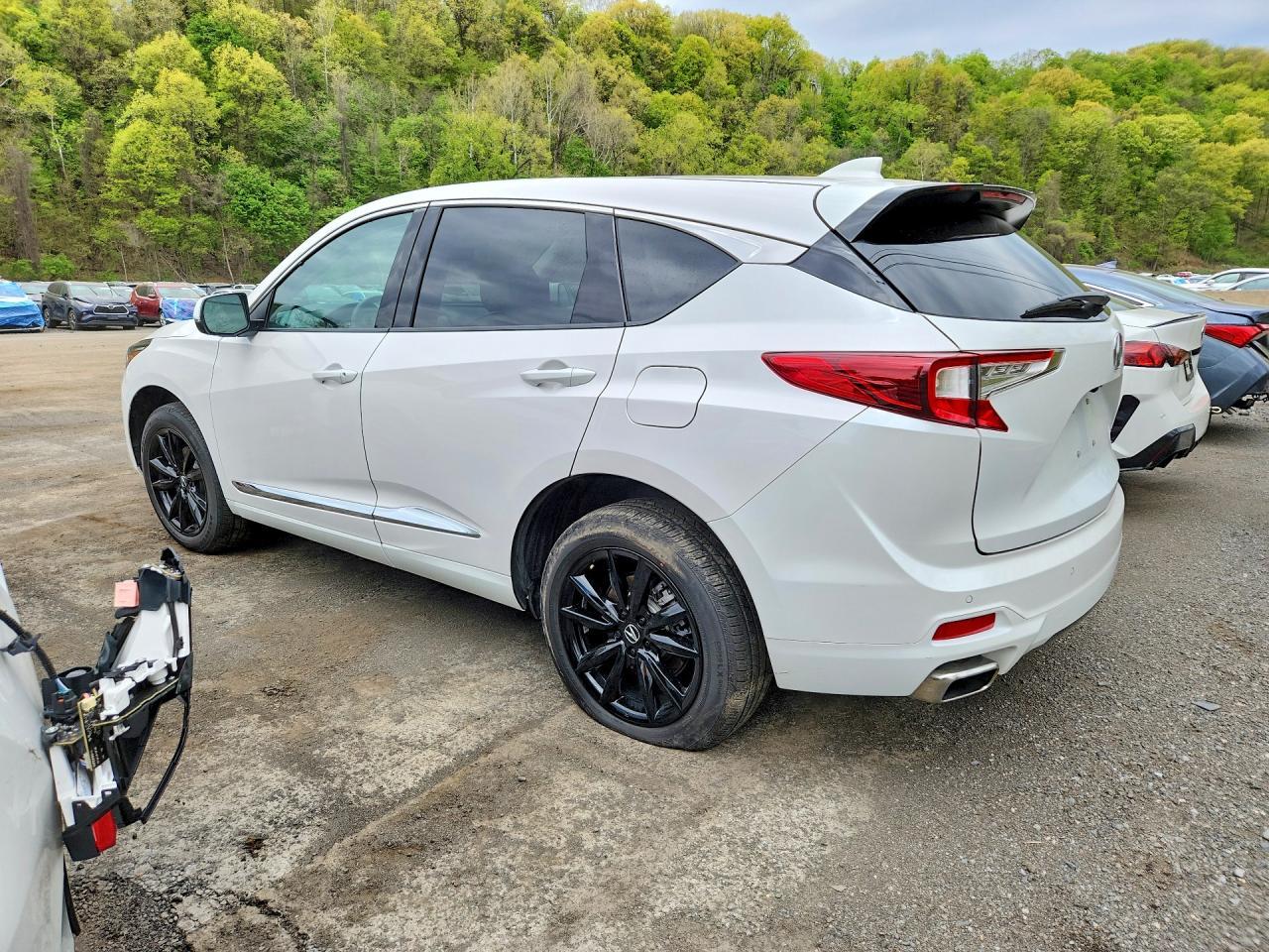 2025 Acura Rdx Advance - Image 2
