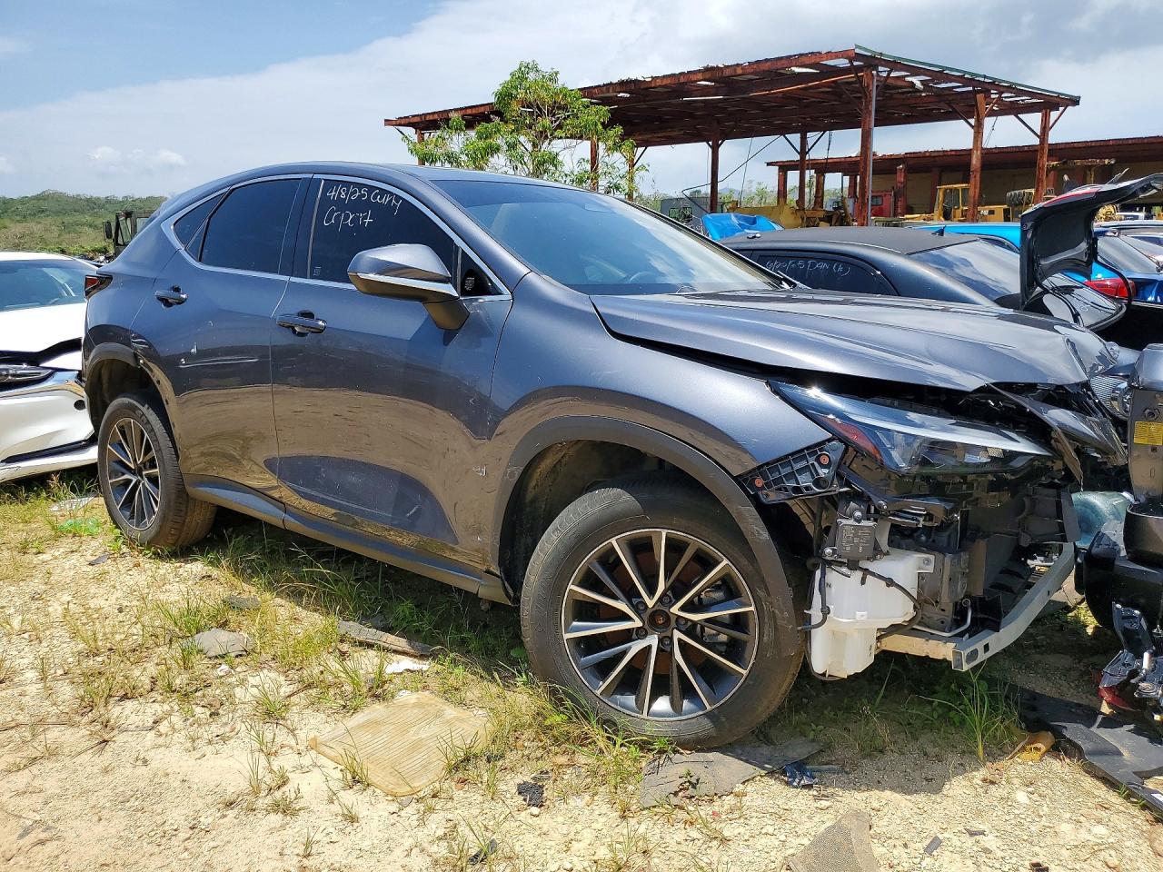 2024 Lexus Nx 250 Premium - Image 4