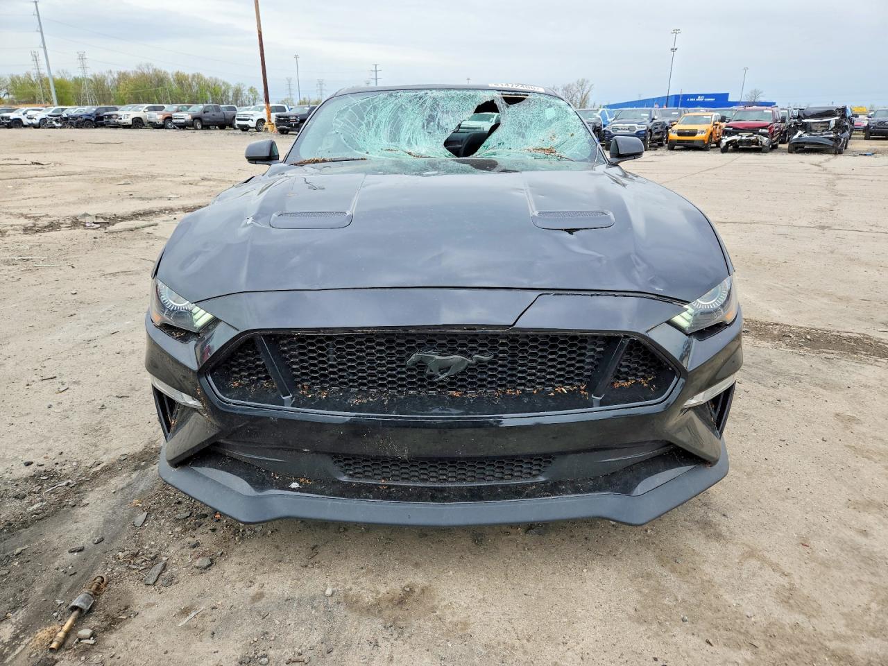 2022 Ford Mustang Gt - Image 5
