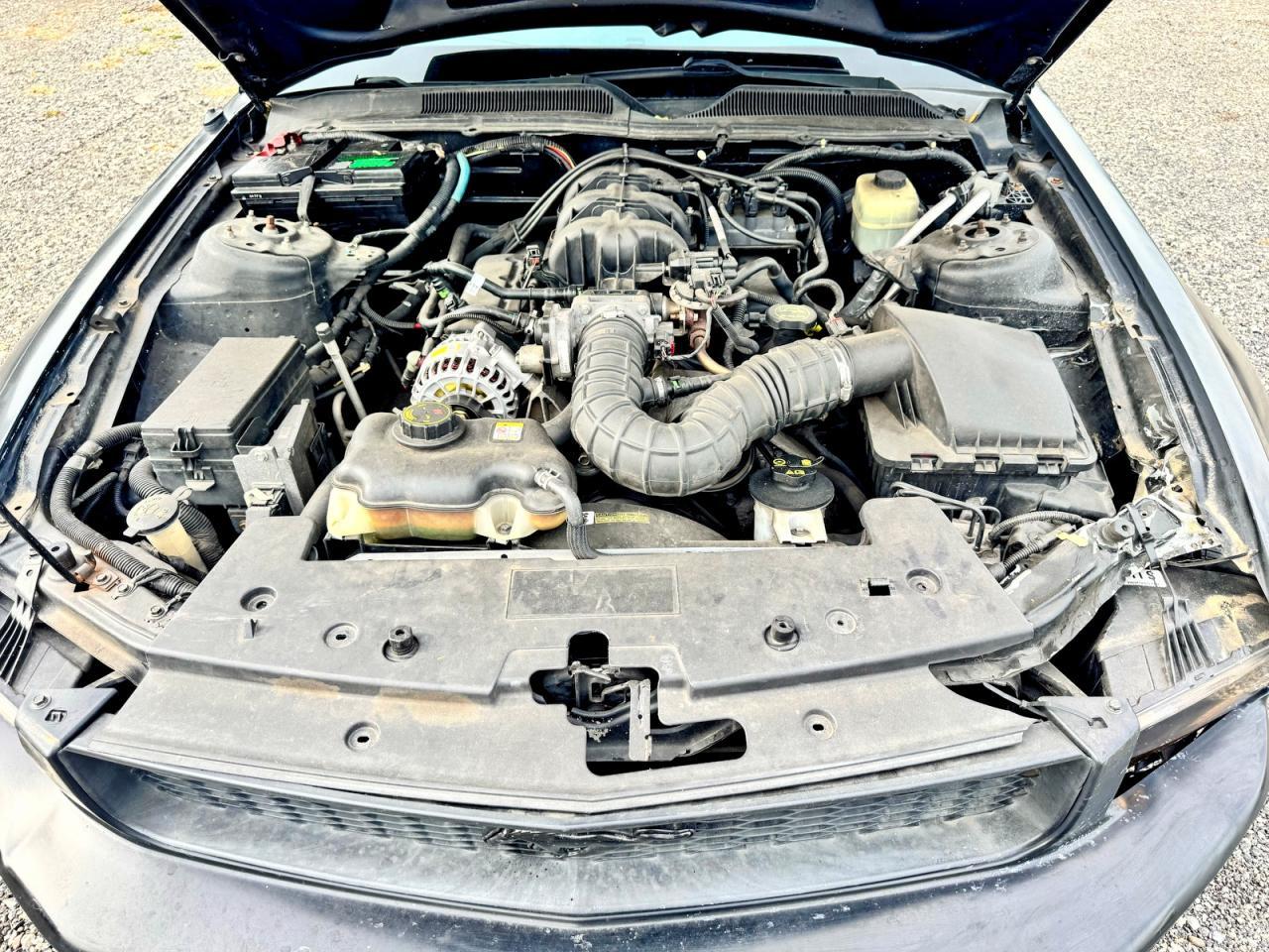 2006 Ford Mustang - Фото 7