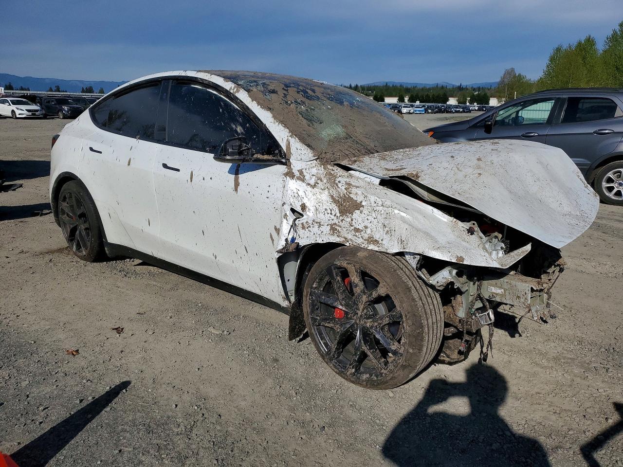 2026 Tesla Model Y - Image 4