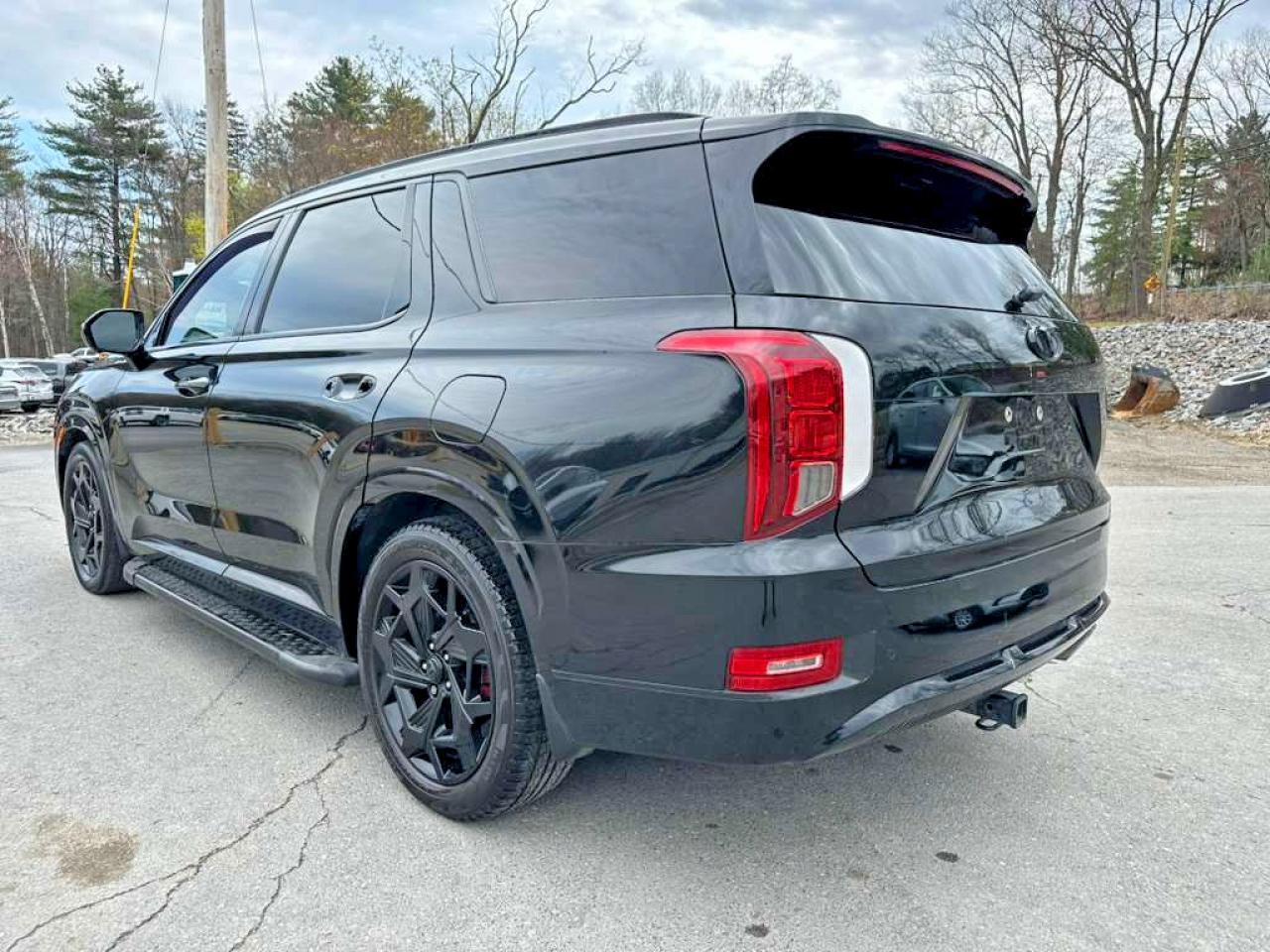 2021 Hyundai Palisade Calligraphy - Фото 2