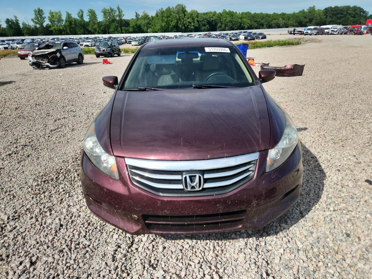 2011 Honda Accord Exl - Image 5