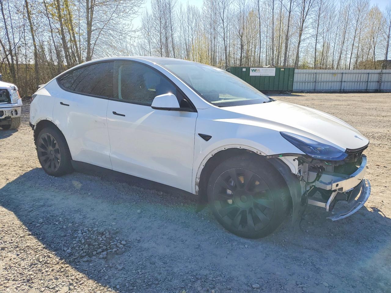 2024 Tesla Model Y - Фото 4