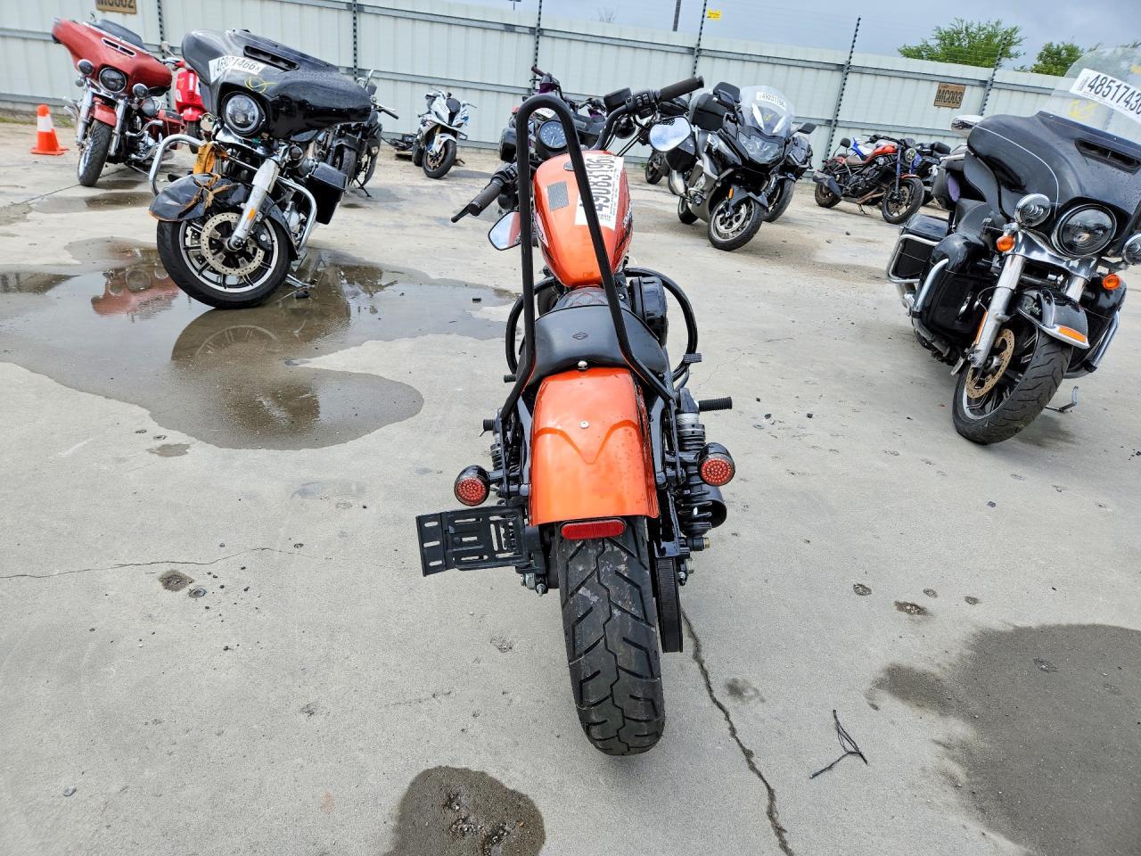 2020 Harley-Davidson Xl883 N - Фото 4