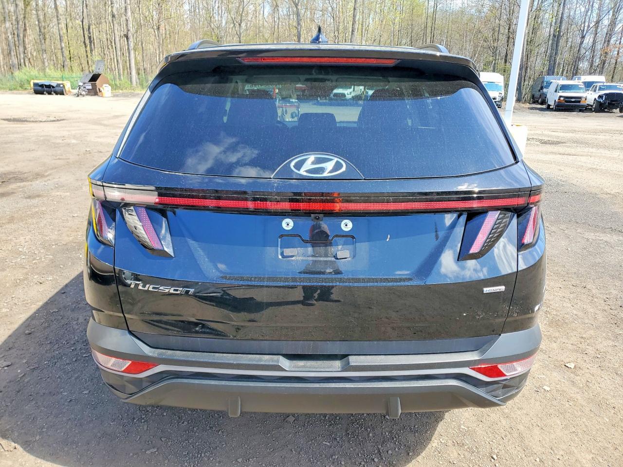 2024 Hyundai Tucson Sel - Фото 6