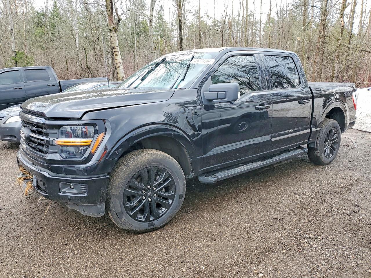 2025 Ford F150 Xlt