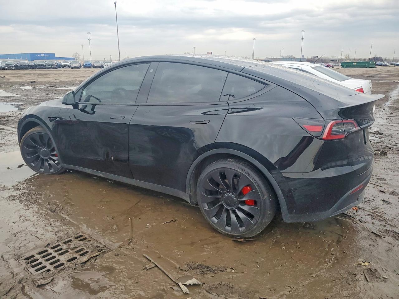 2022 Tesla Model Y - Фото 2