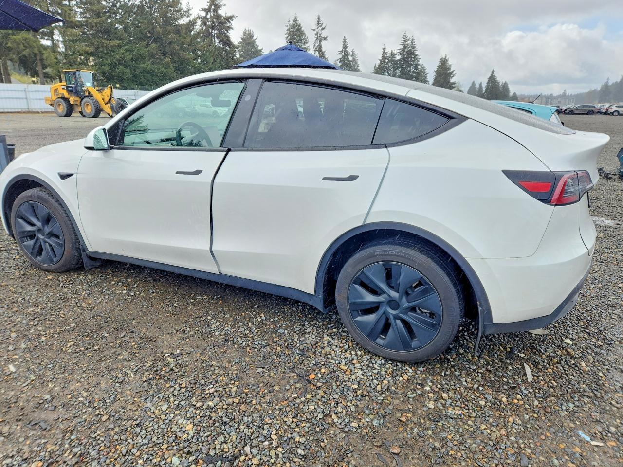 2024 Tesla Model Y - Image 2