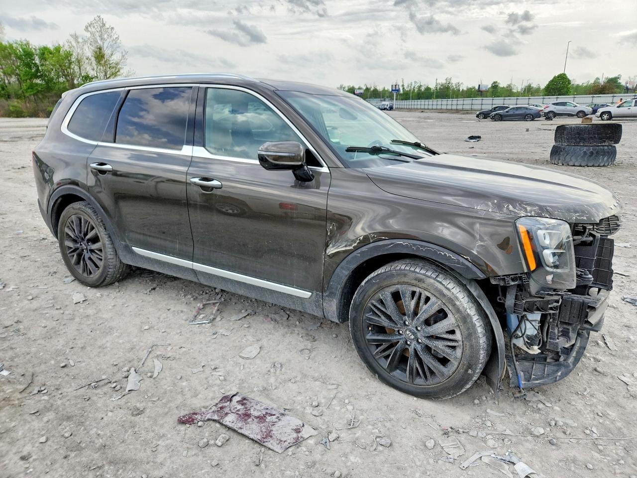 2020 Kia Telluride Sx - Фото 4