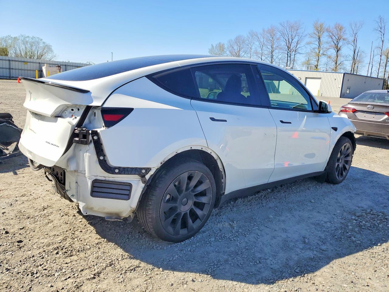 2024 Tesla Model Y - Фото 3