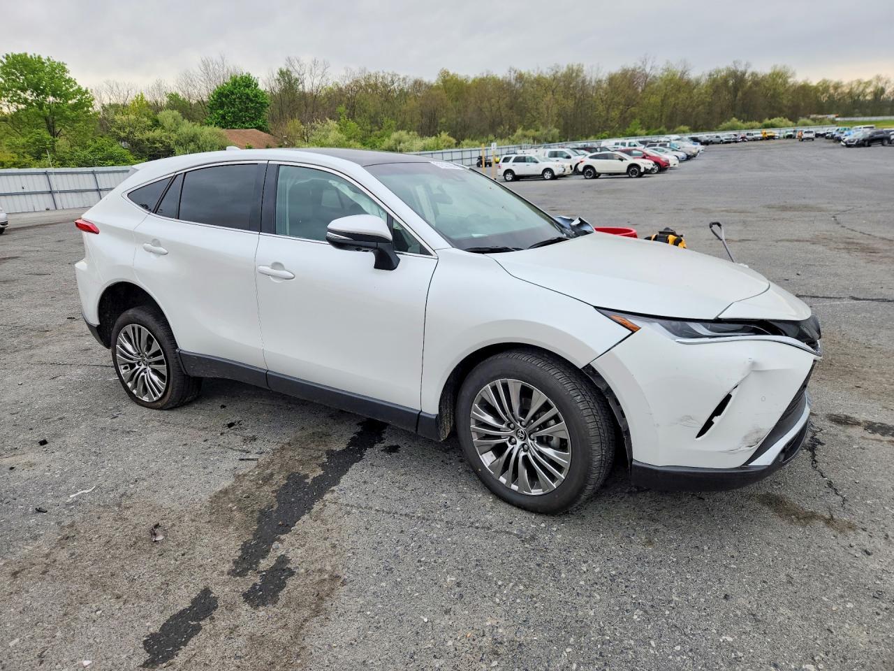 2024 Toyota Venza Limited - Фото 4