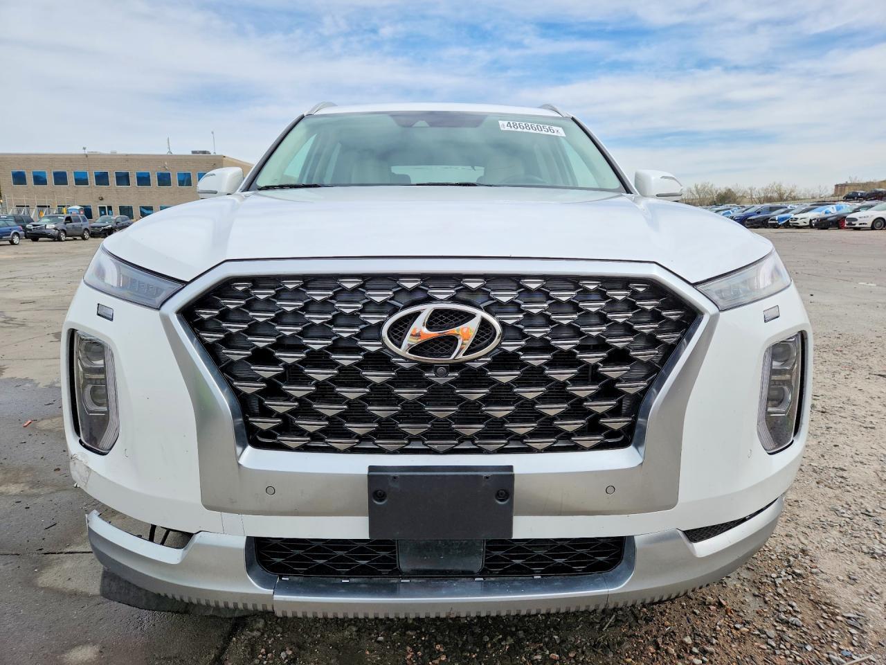 2021 Hyundai Palisade Calligraphy - Фото 5