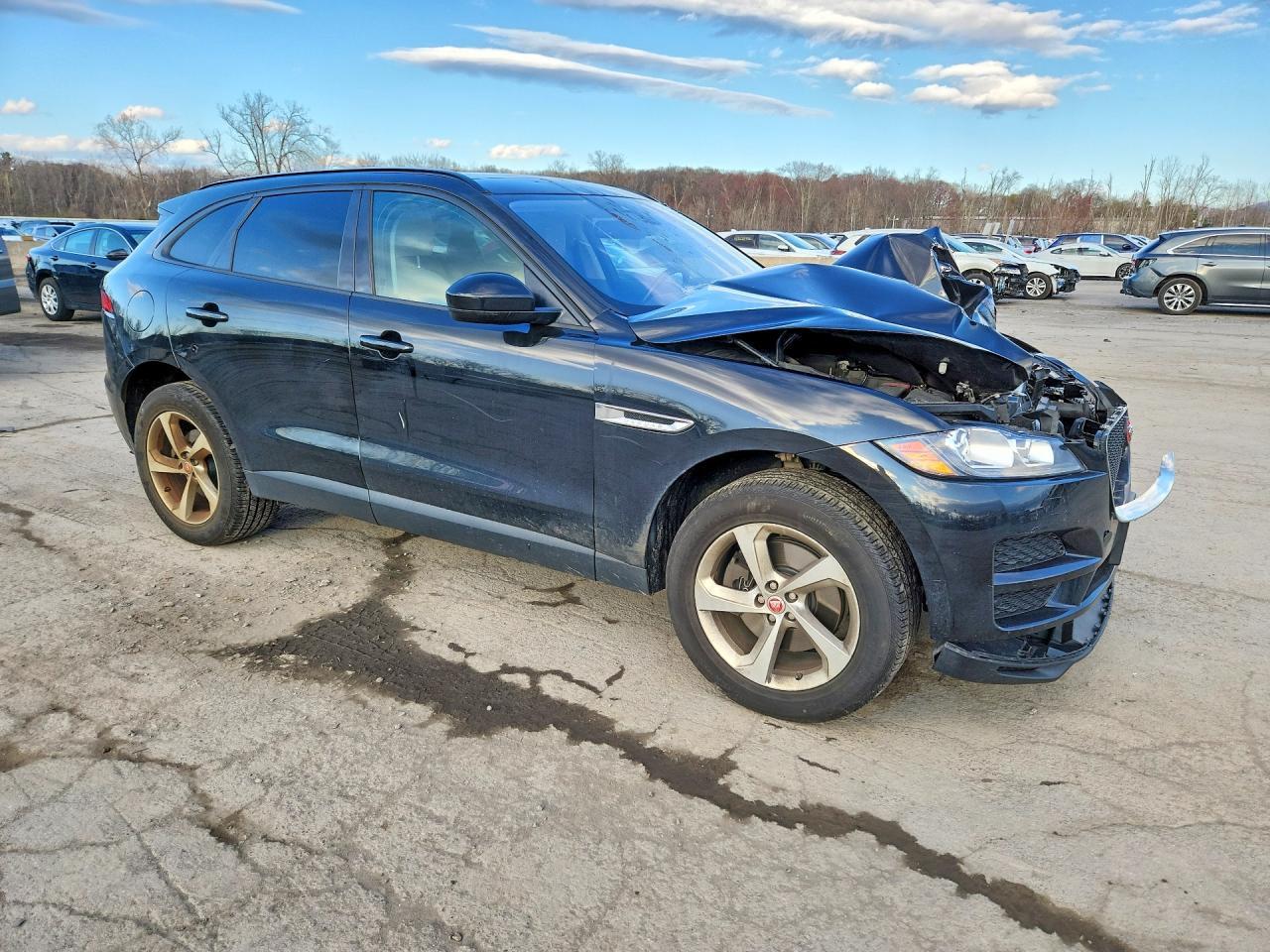 2018 Jaguar F-Pace Premium - Фото 4