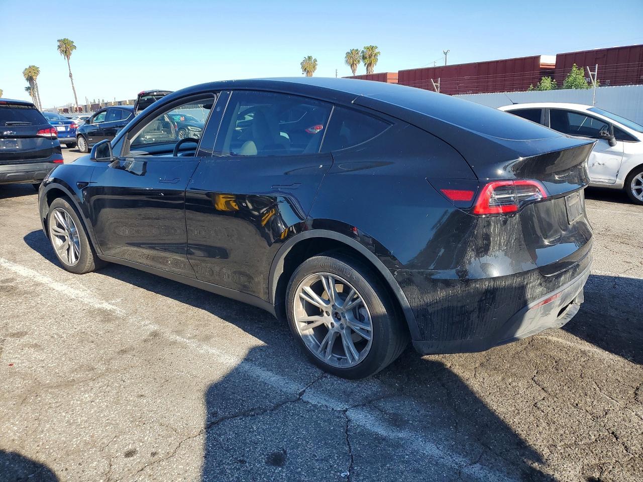 2023 Tesla Model Y - Фото 2