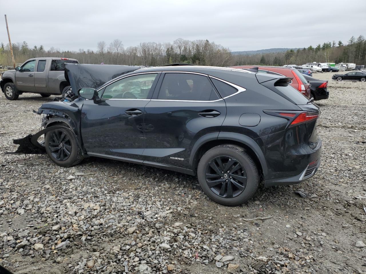 2018 Lexus Nx 300H - Фото 2