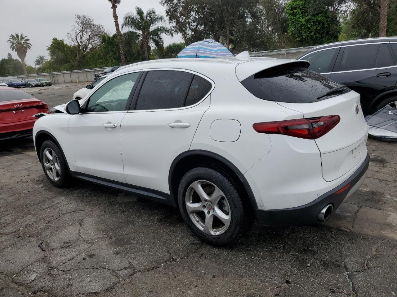 2020 Alfa Romeo Stelvio - Фото 2