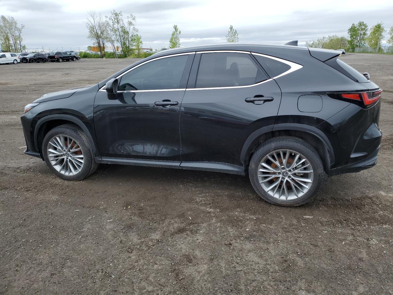 2023 Lexus Nx 350 - Image 2