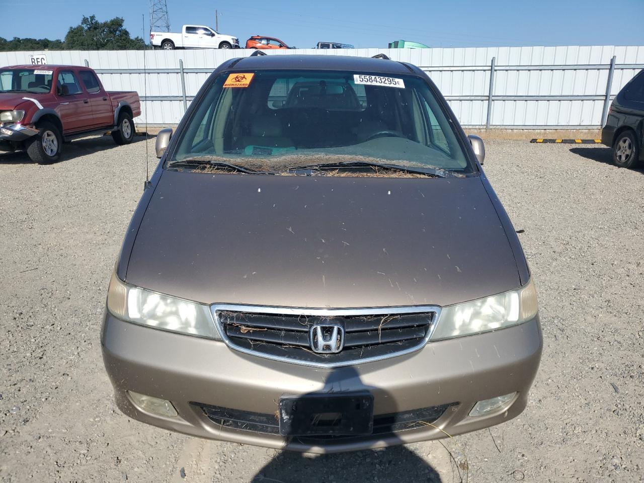 2004 Honda Odyssey Exl - Фото 5