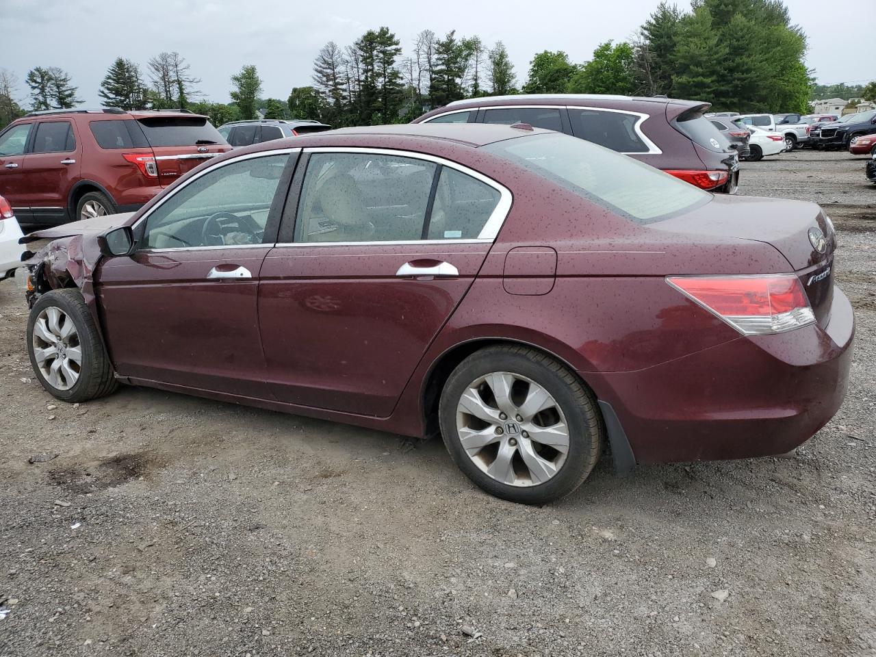 2008 Honda Accord Exl - Image 2