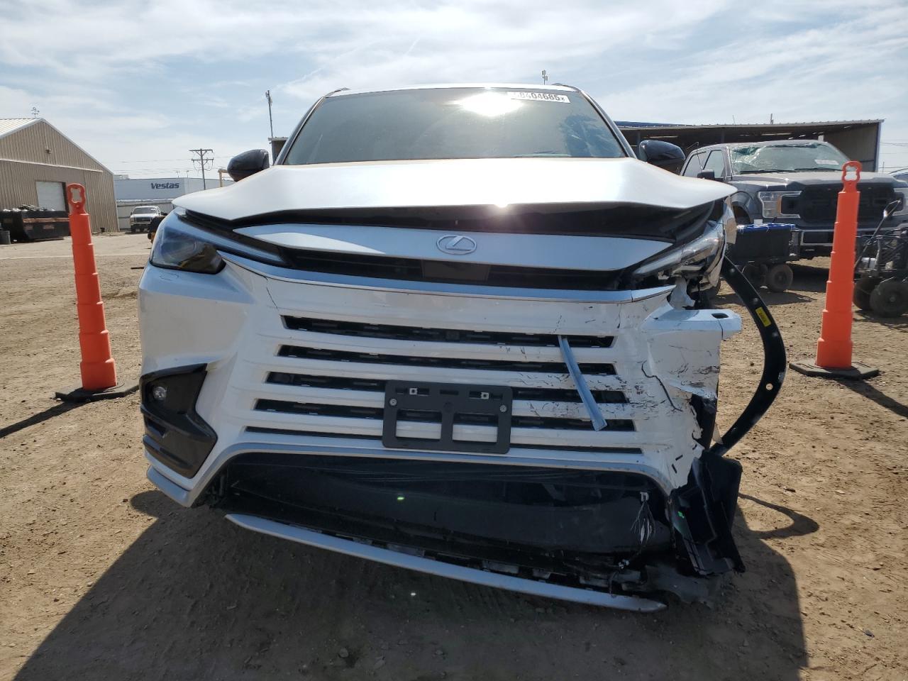 2024 Lexus Tx 500H F Sport Premium - Фото 5