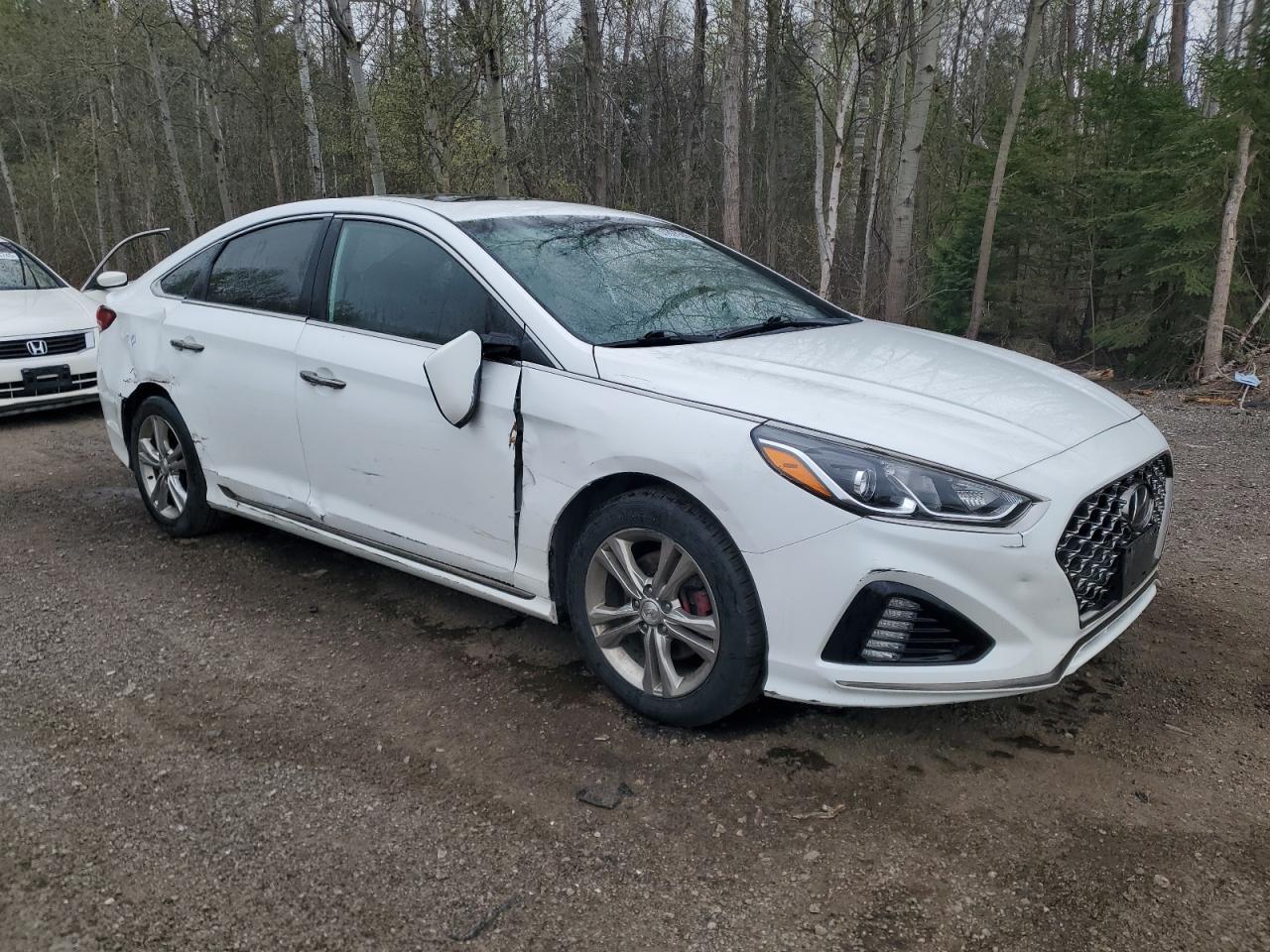 2019 Hyundai Sonata Limited - Фото 4