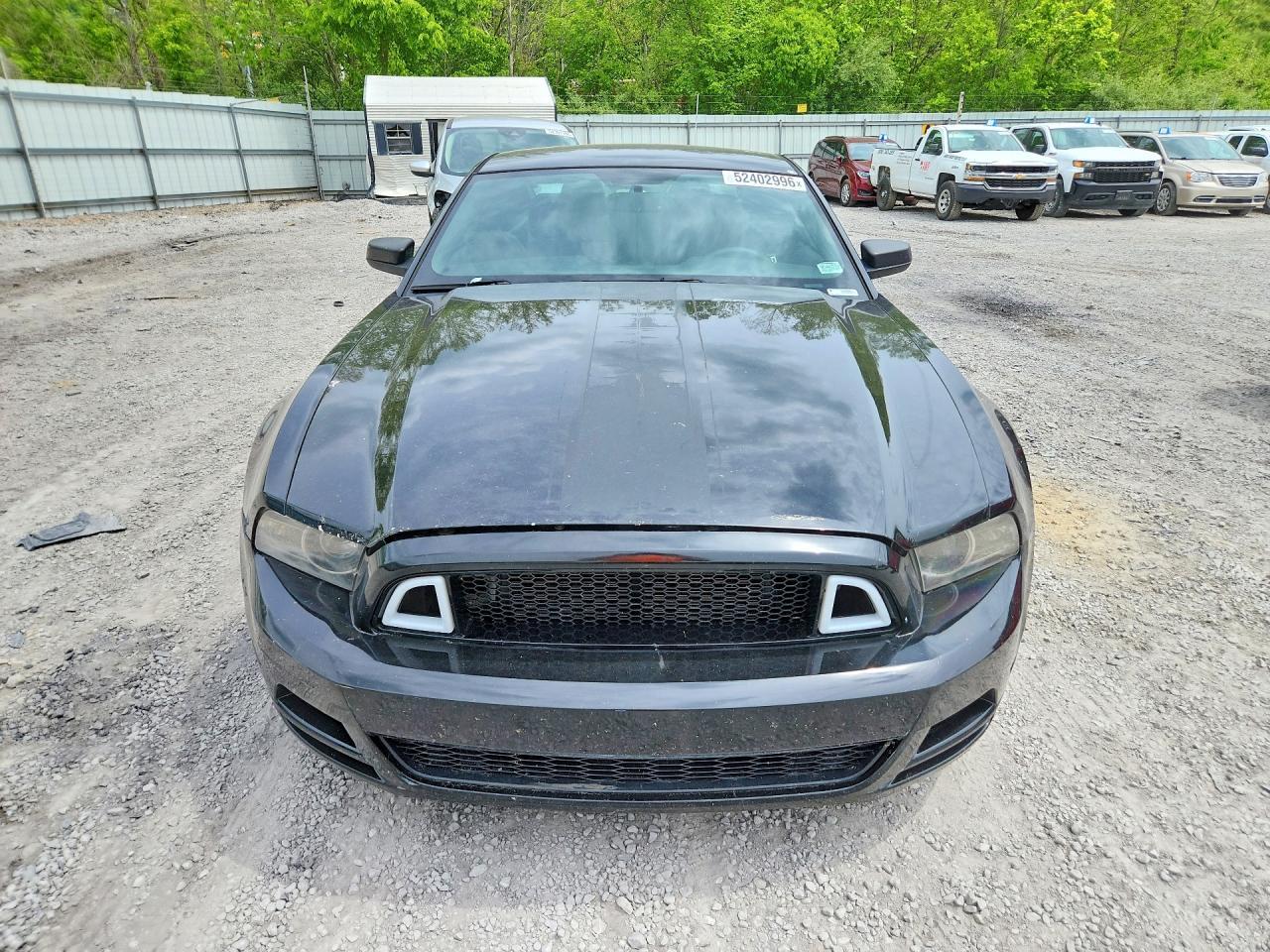 2014 Ford Mustang - Фото 5