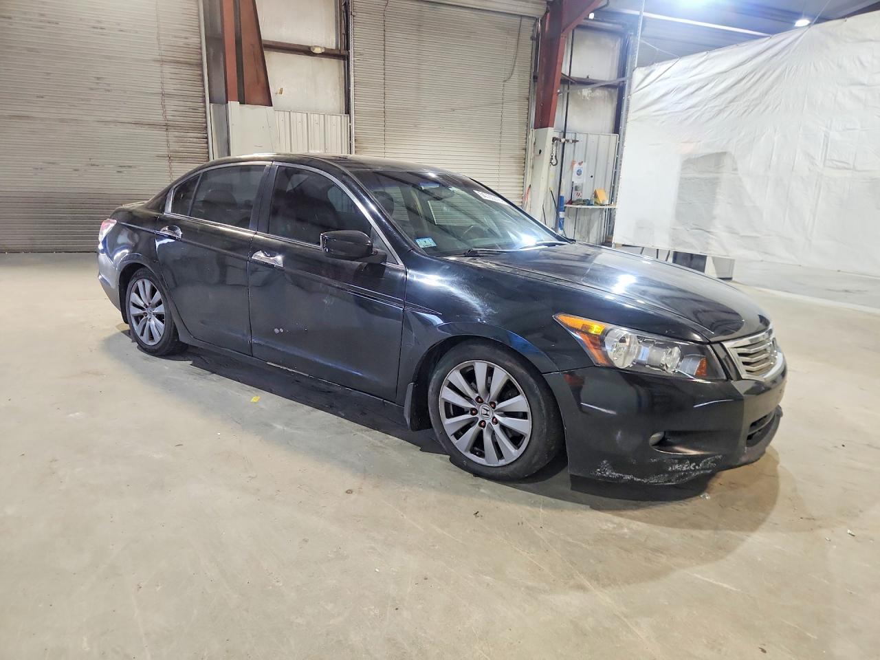 2009 Honda Accord Exl - Фото 4