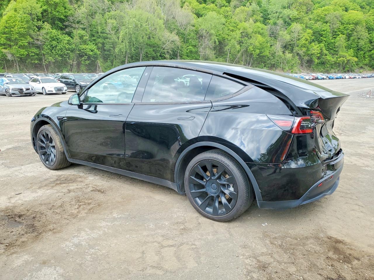 2023 Tesla Model Y - Фото 2