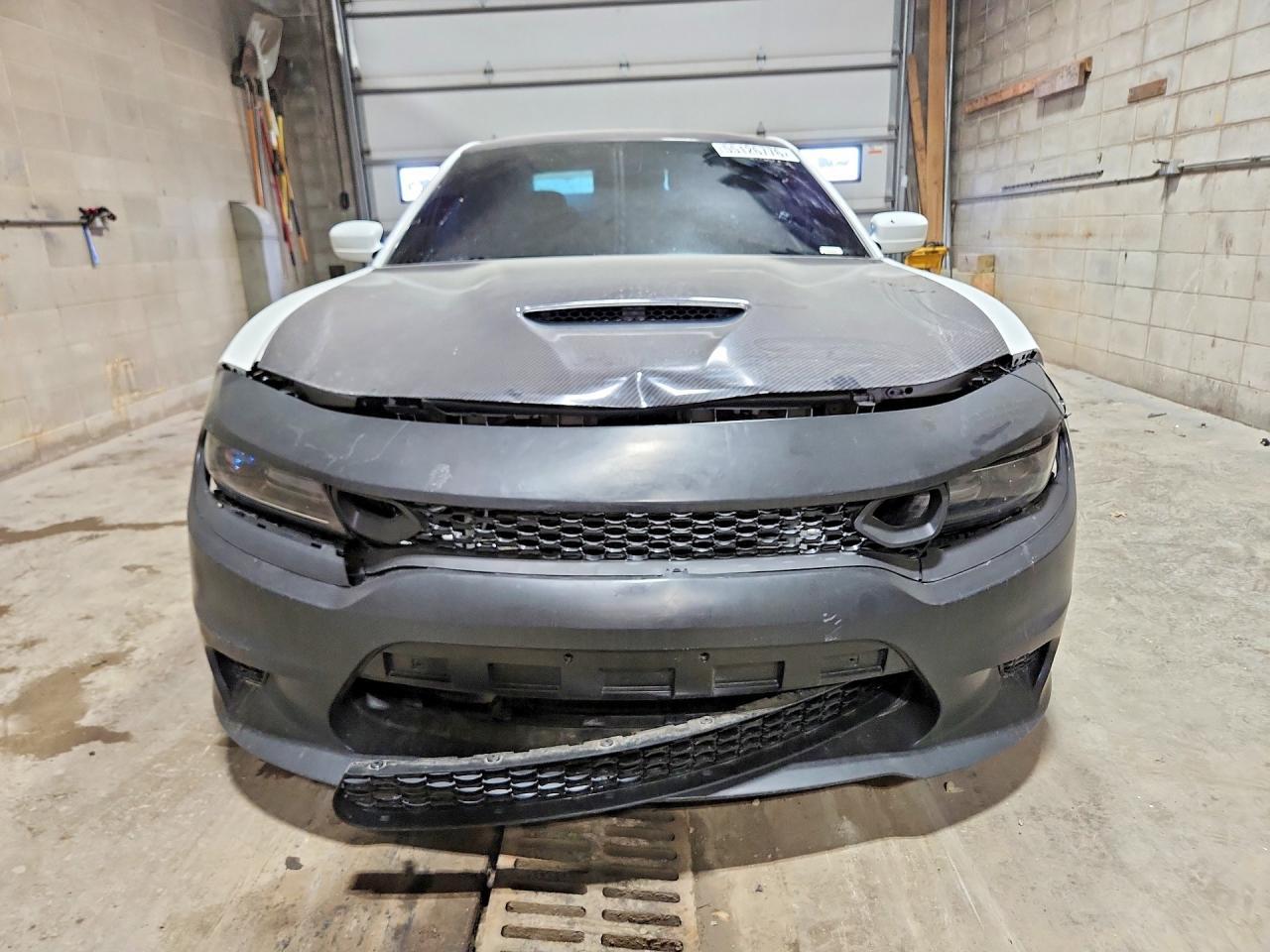 2019 Dodge Charger Scat Pack - Фото 5