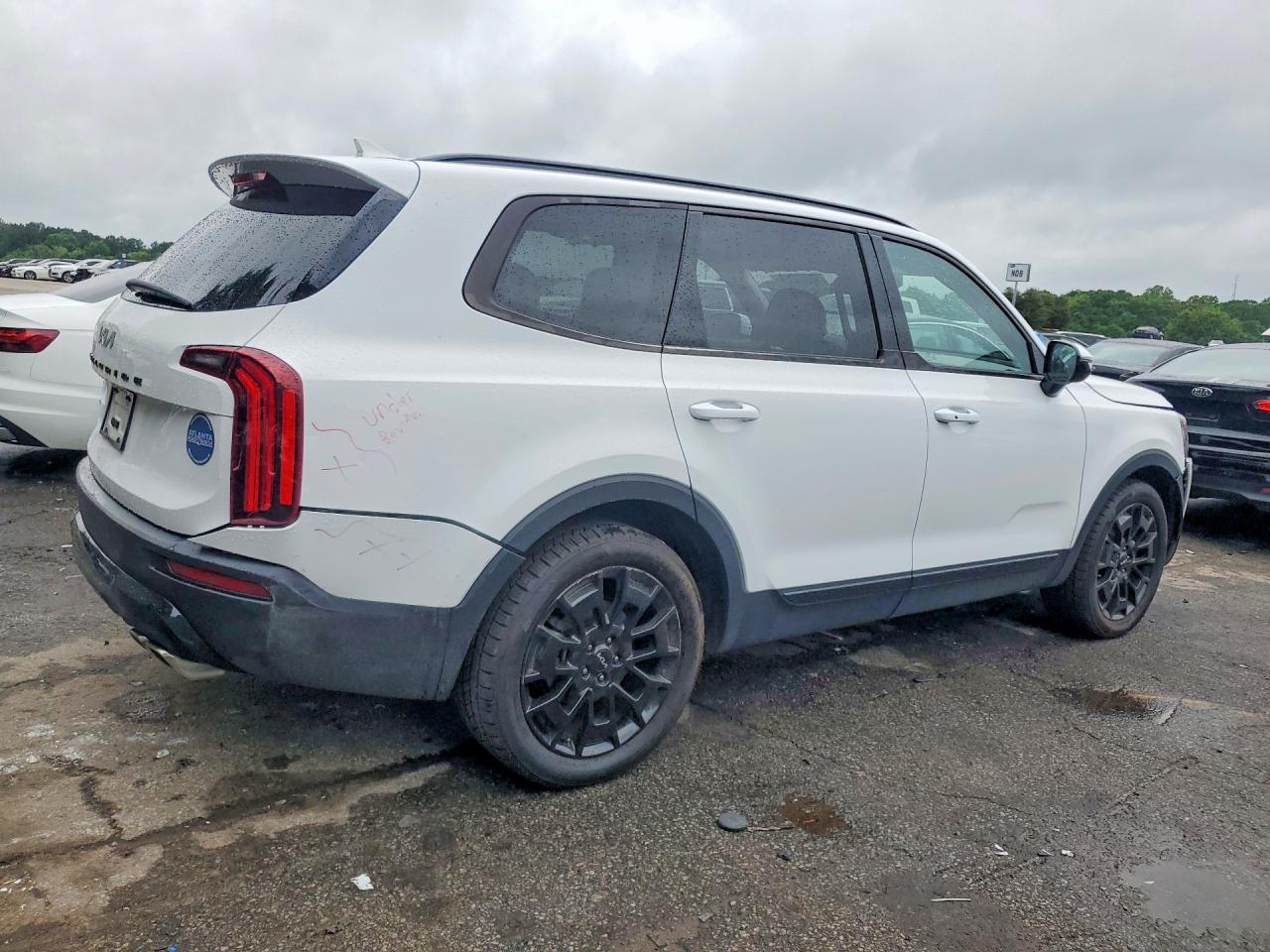 2022 Kia Telluride Sx - Image 3