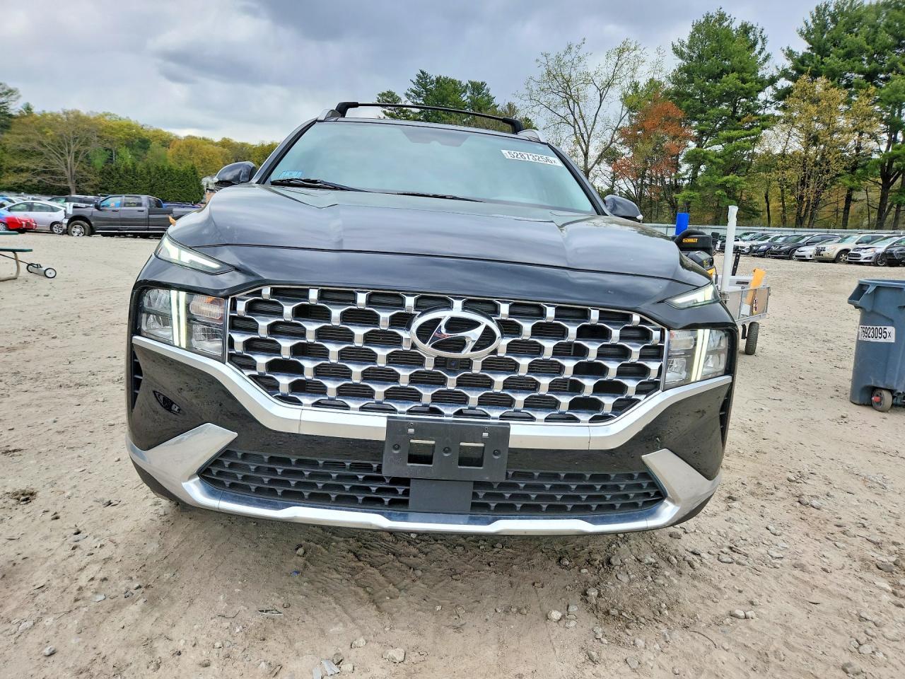 2023 Hyundai Santa Fe Sel Premium - Фото 5
