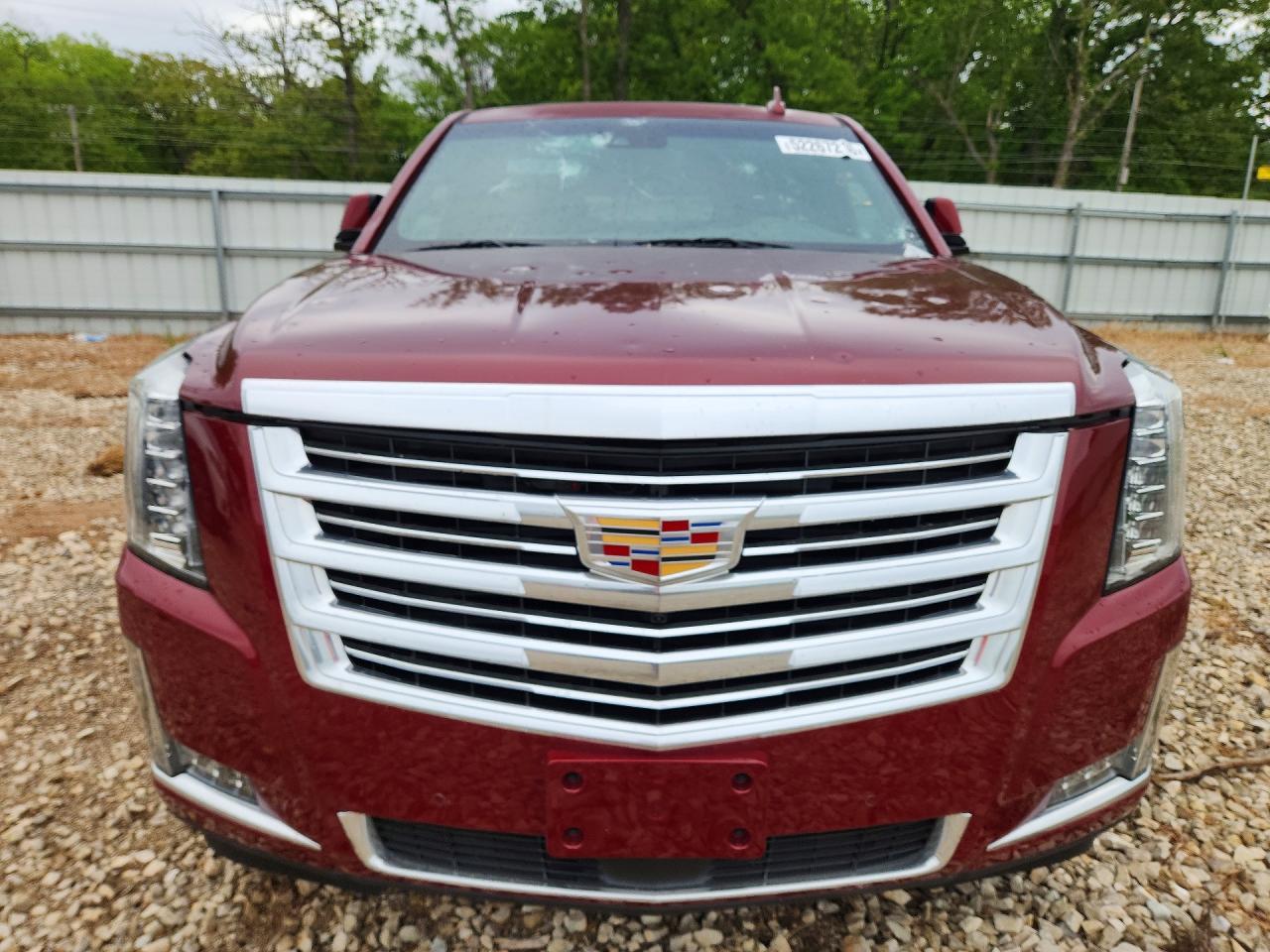 2017 Cadillac Escalade Esv Platinum - Фото 5
