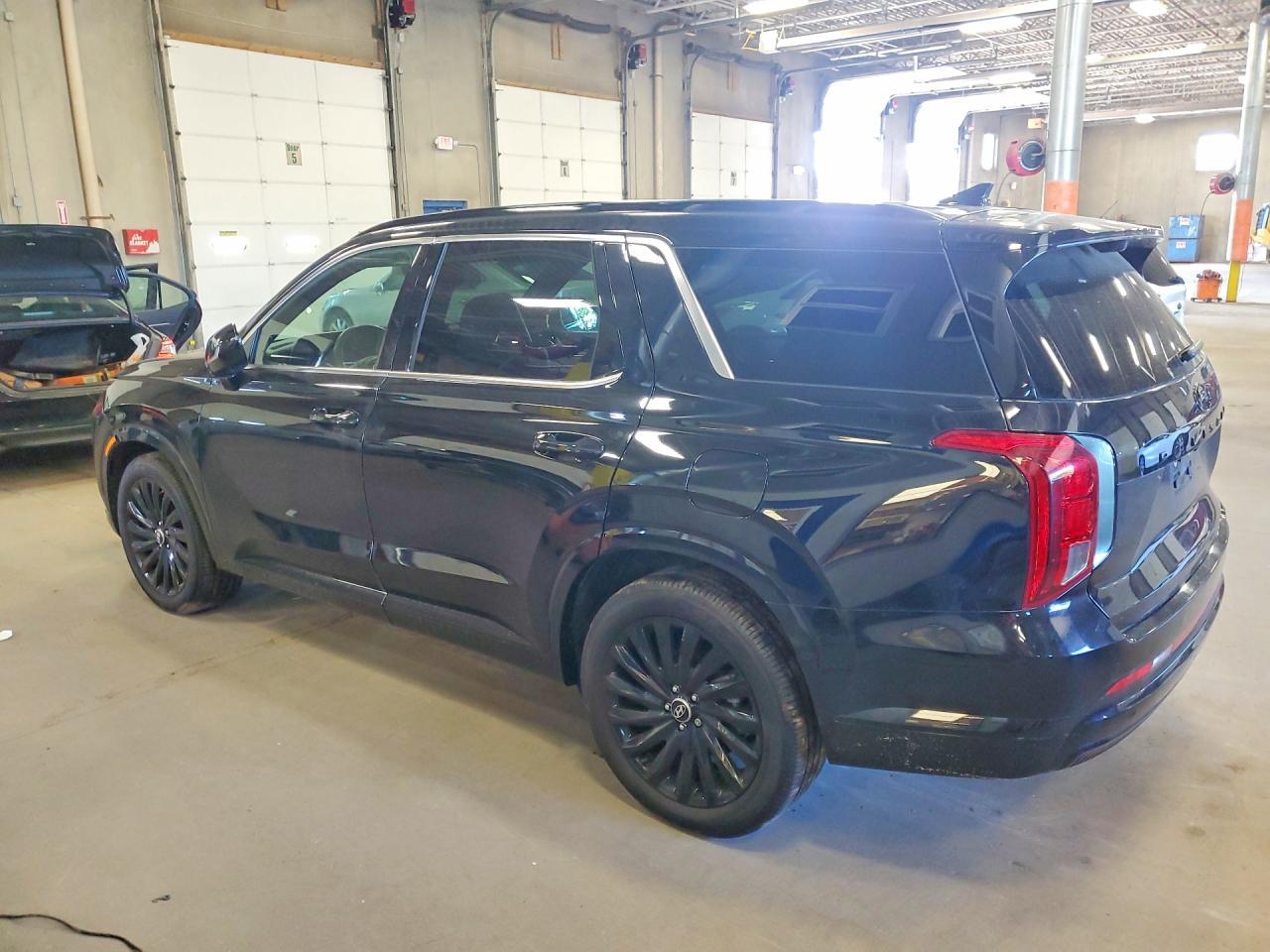 2024 Hyundai Palisade Calligraphy Night Edition - Фото 2