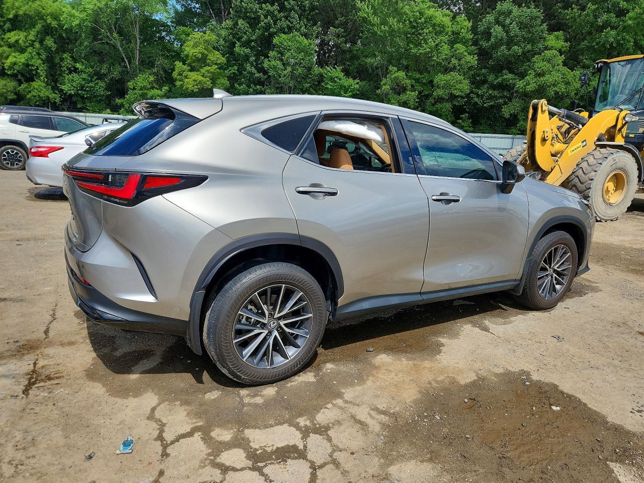 2024 Lexus Nx 350 Premium - Image 3