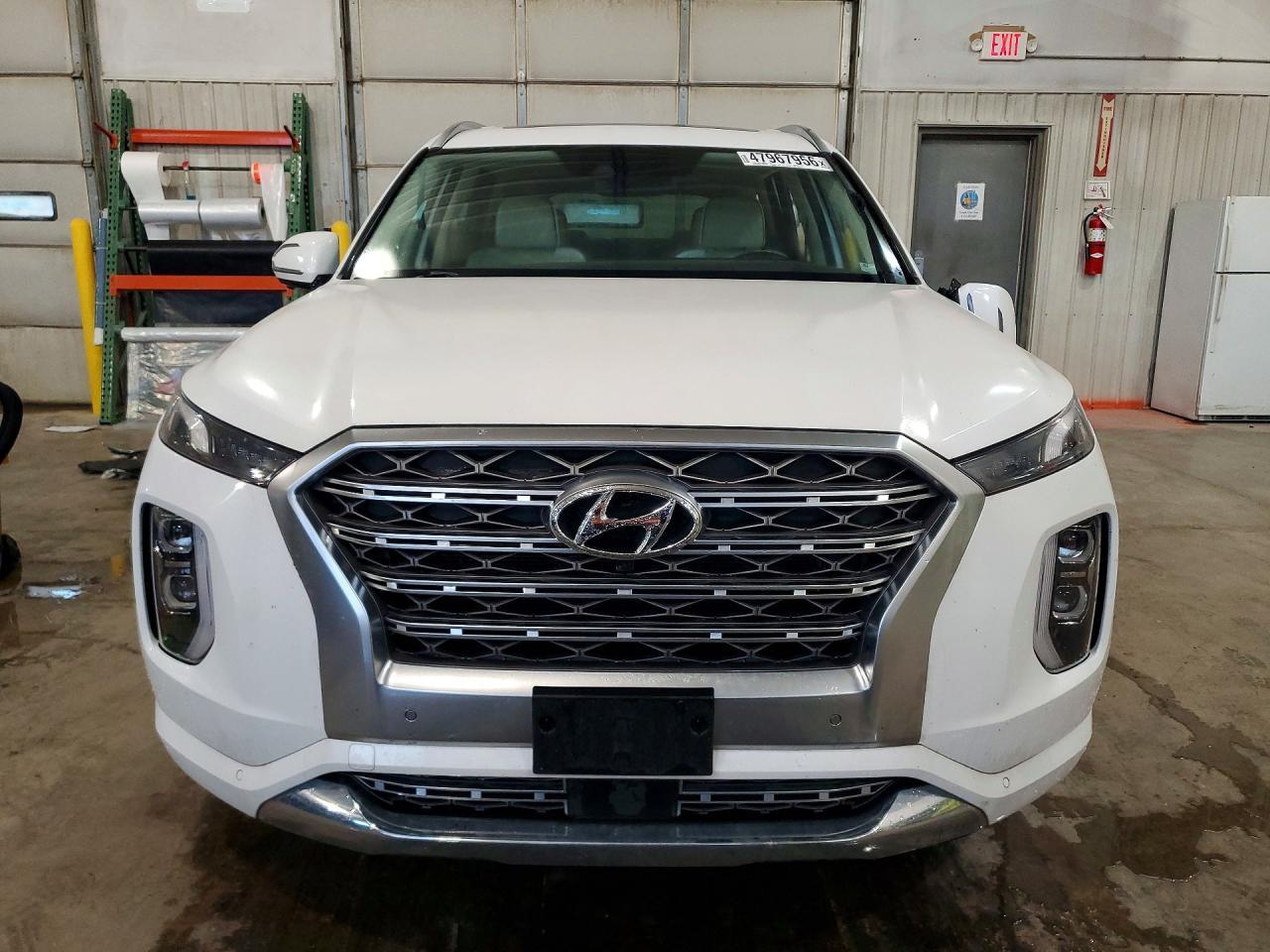 2020 Hyundai Palisade Limited - Фото 5